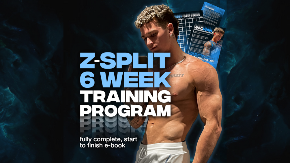 Split training online program