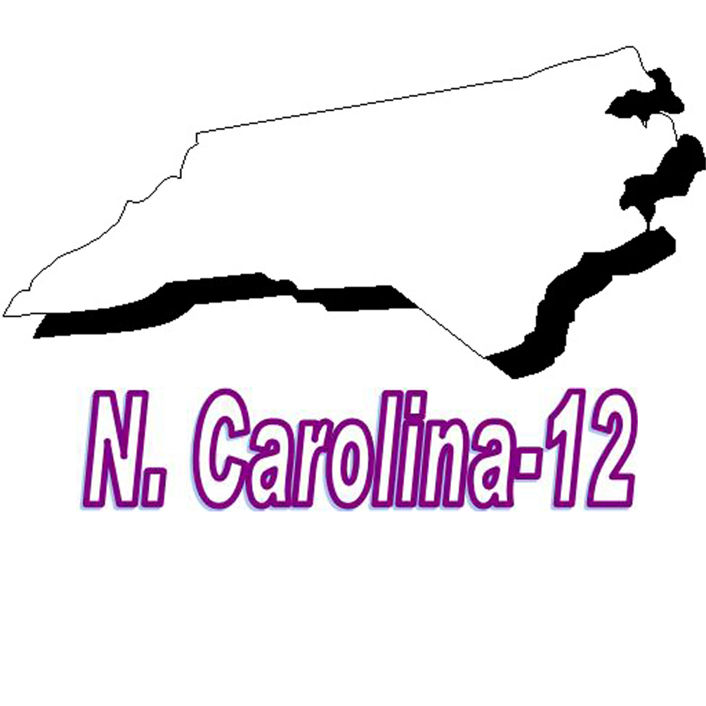 12 North Carolina worksheet and answer key