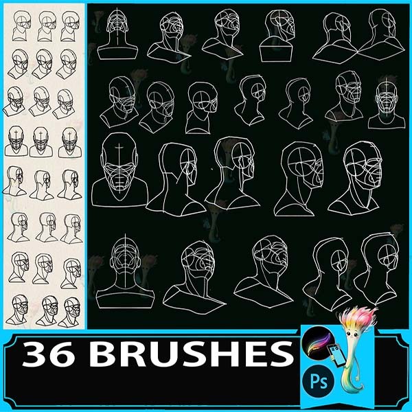 Procreate & Photoshop 36 Types Head・Face Anatomy Brush Set | Figure Drawing・Sketching・Illustration Material by best procreate brushes