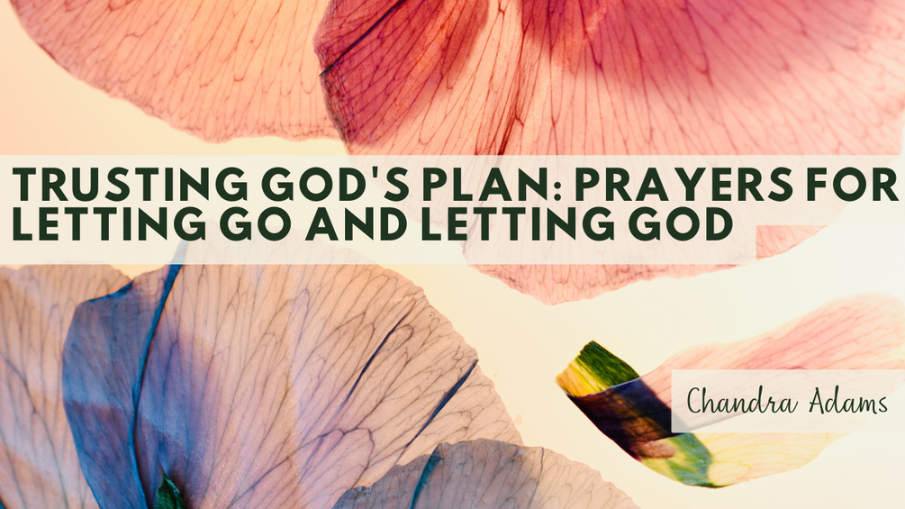 Trusting God's Plan Prayer Book Cover