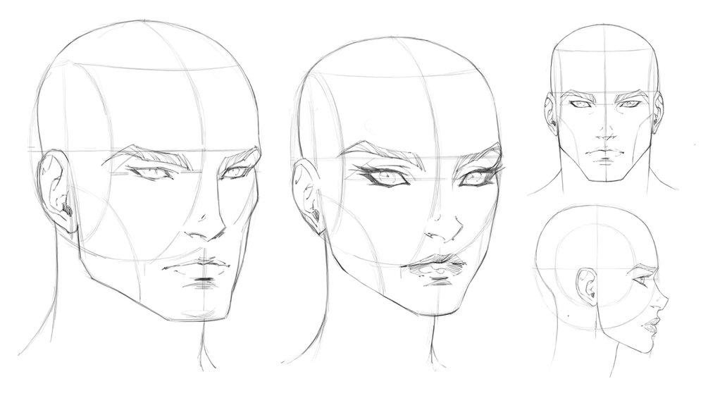 How To Draw Heads & Faces Portrait, Profile & Three Quarter Views