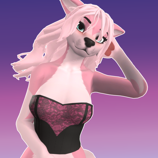 Lace Corset - Winterpaw FemCanine