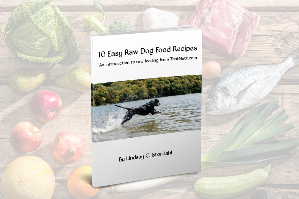 *Today Only* 10 Easy Raw Dog Food Recipes Ebook 4