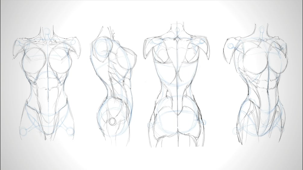 Ruben's Blogpage: Unit 04- Female Character Body Shape Drawings