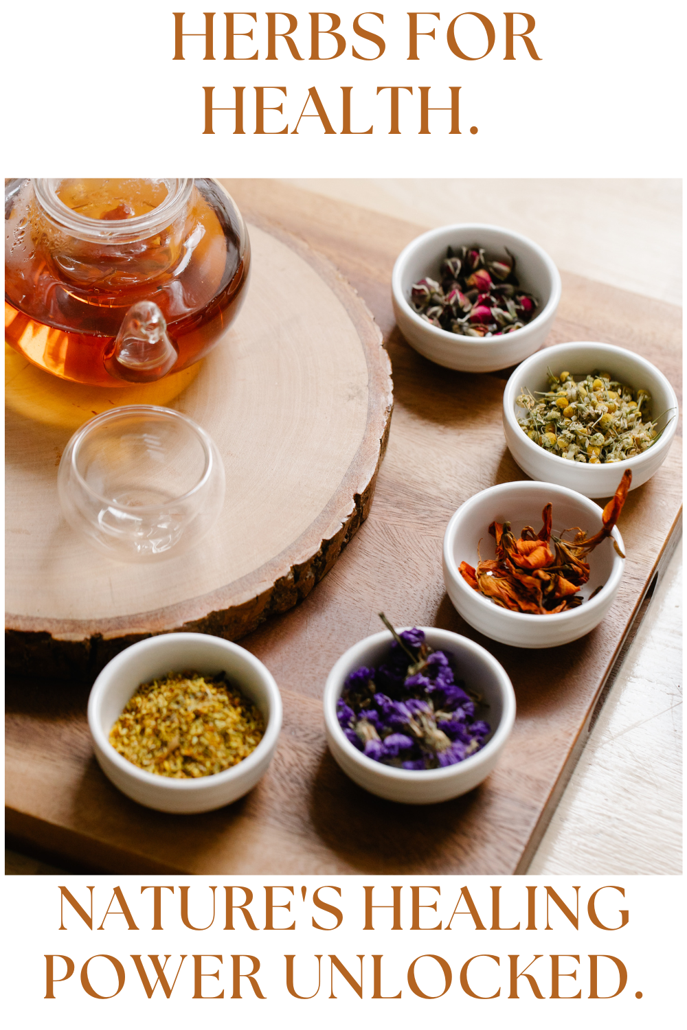 Herbs For Health Book