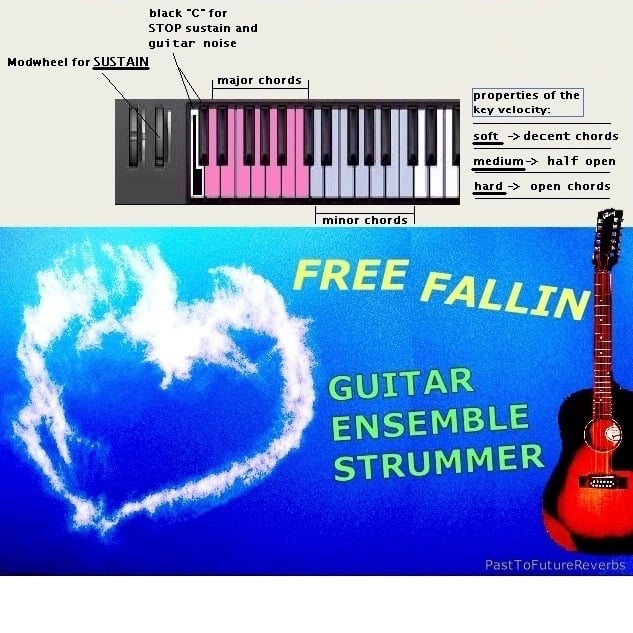 Half guitar deals half keyboard