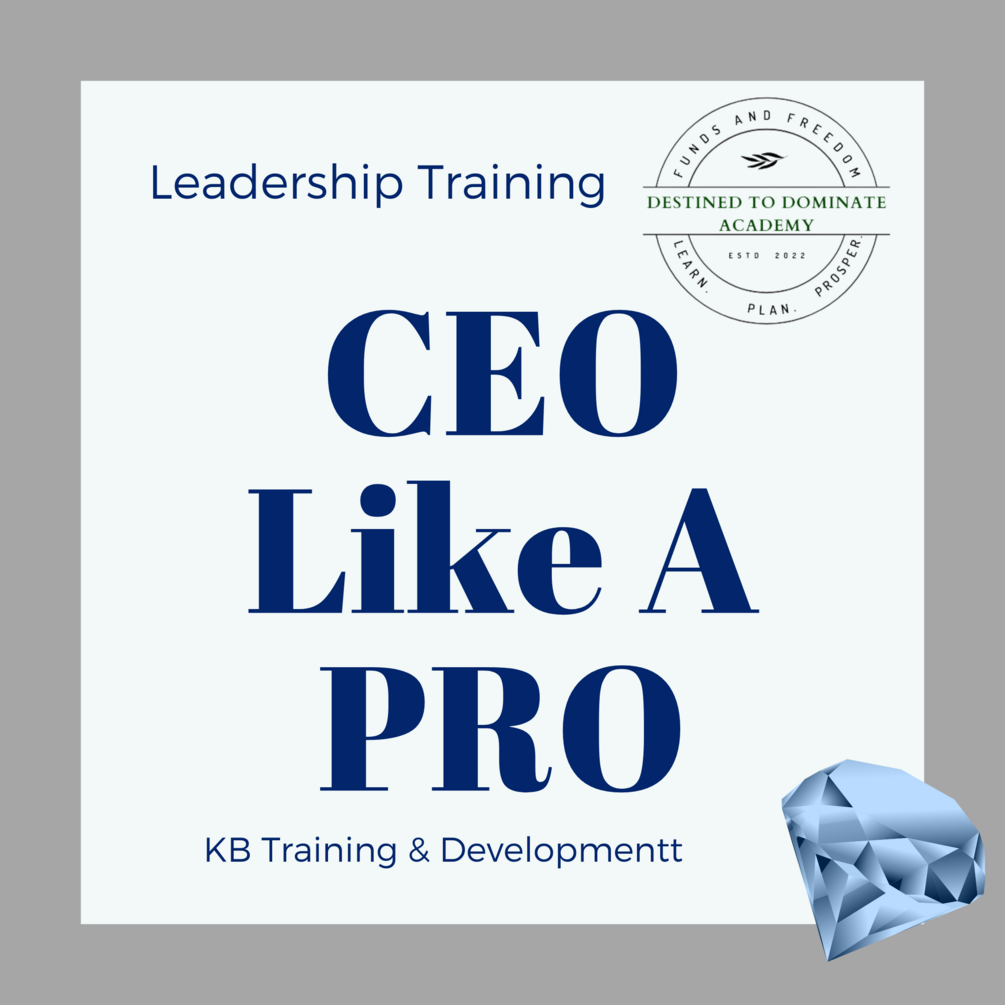 CEO Like A PRO