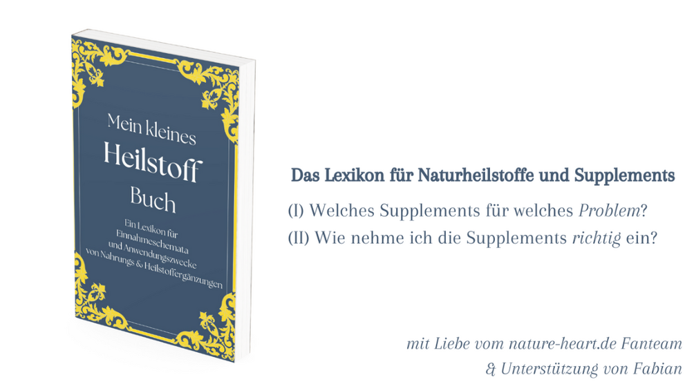 Mein Kleines Heilstoff Buch V 2.0