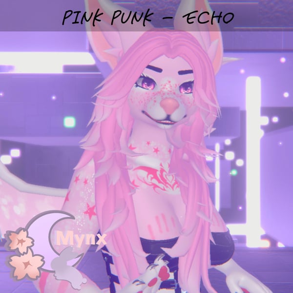 Pink Punk ✧ Echo