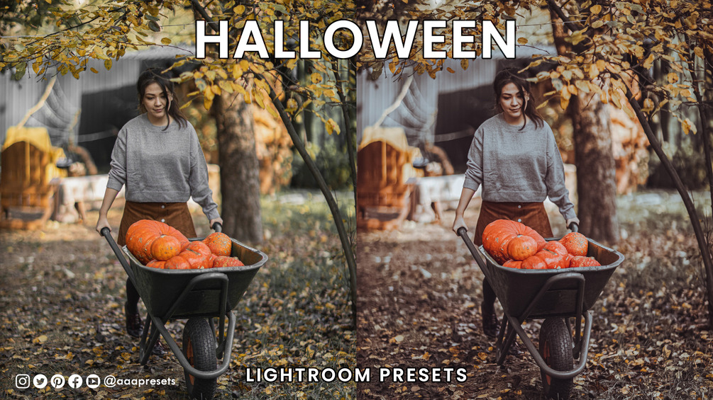 Free Halloween Lightroom Presets