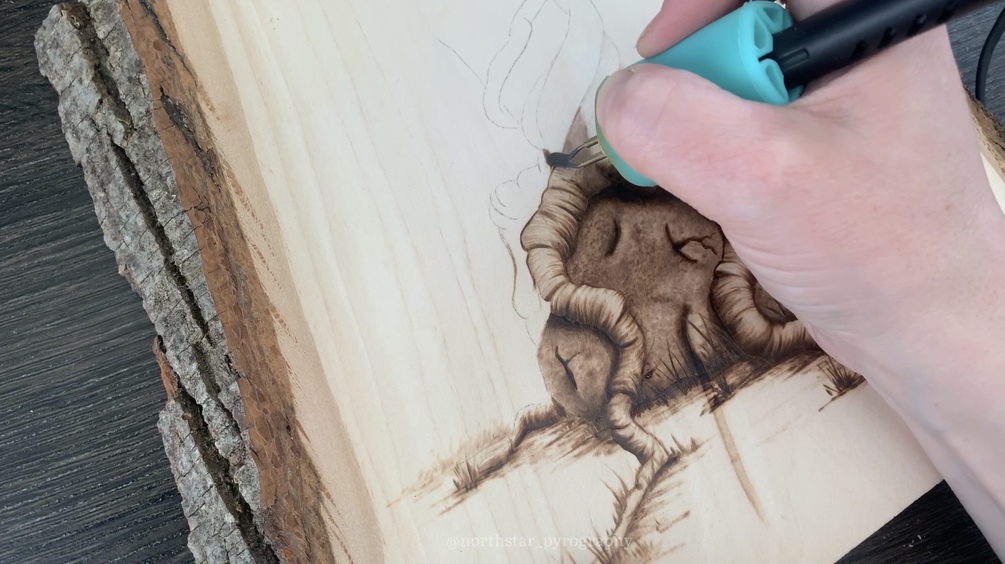 North Star Pyrography