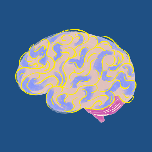 AI Chatbot Creation Tutorial Course Discount Codes