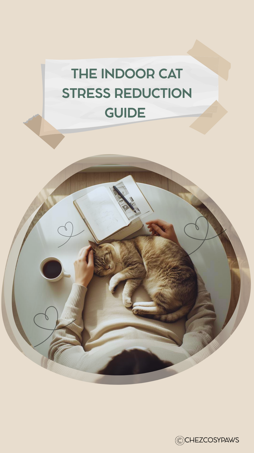 Free Guide: Understand Your Stressed Indoor Cat