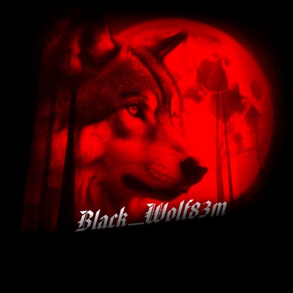 MAN Combo Skin Paket 1.57.* by Blackwolfs83m_Custom's Profil