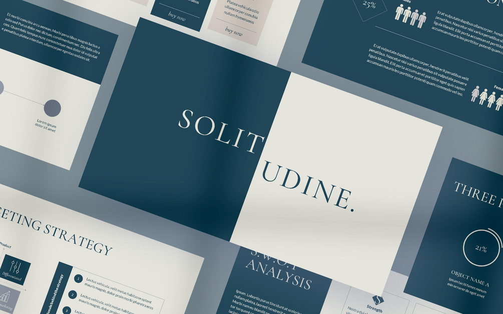 solitudine business plan powerpoint template