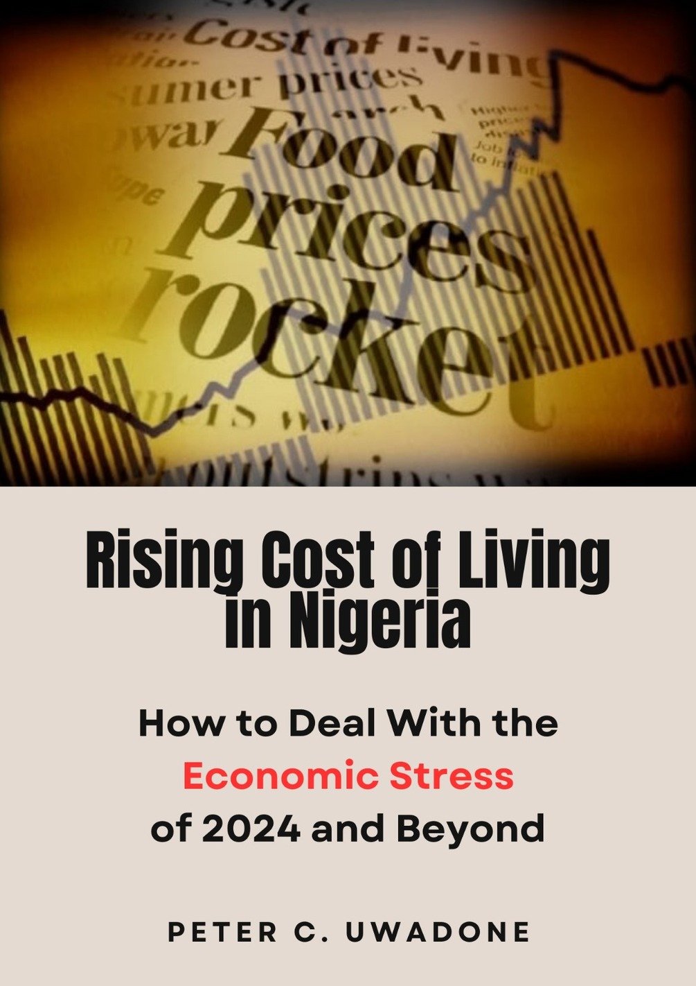 Rising Cost of Living in Nigeria How to Deal With the Economic Stress