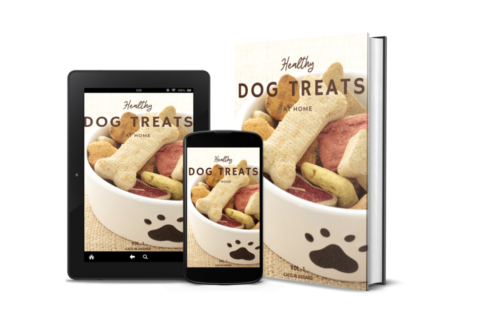 Healthy Dog Treats At Home