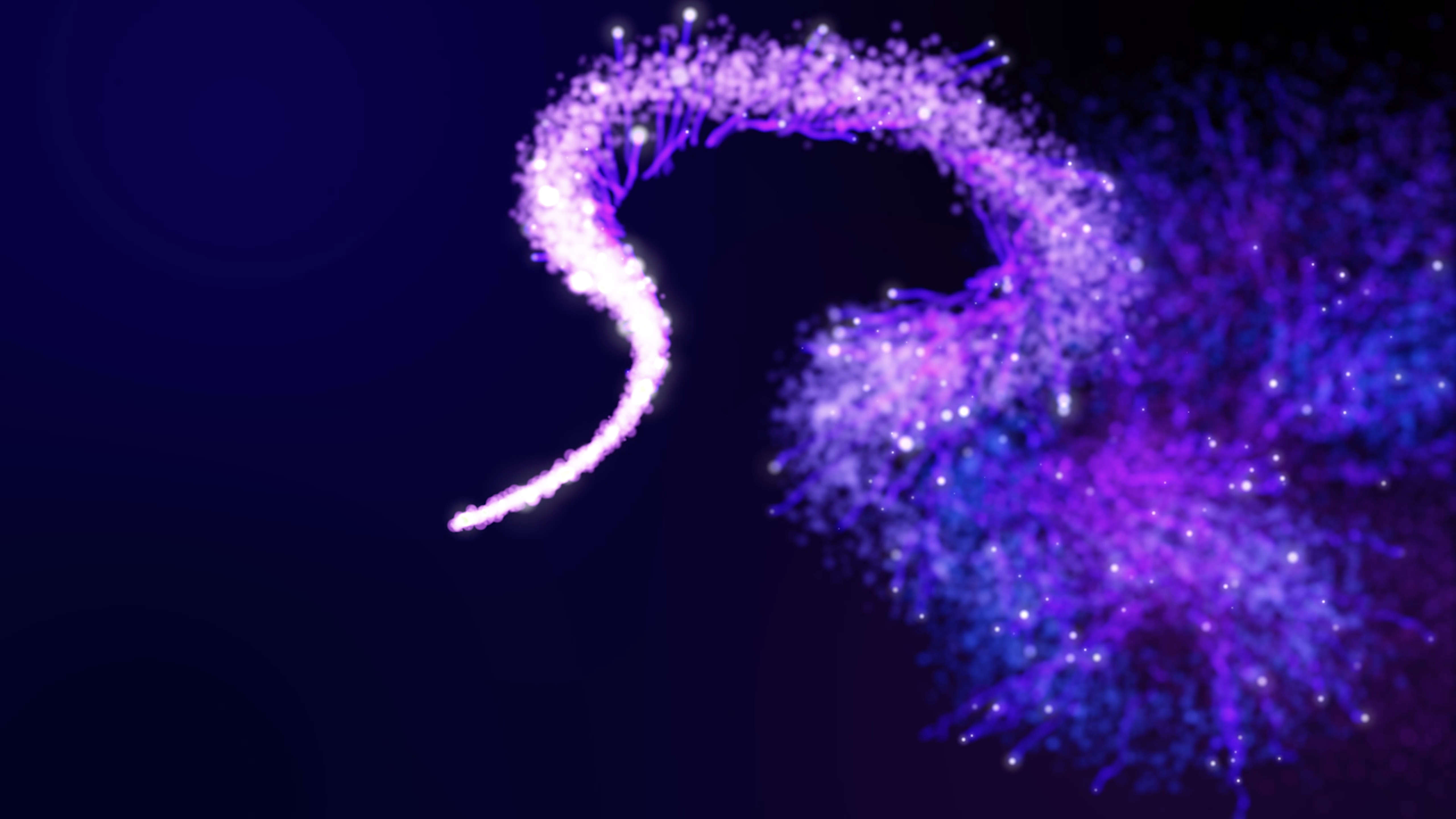 Sparkles: a frame from the loop.