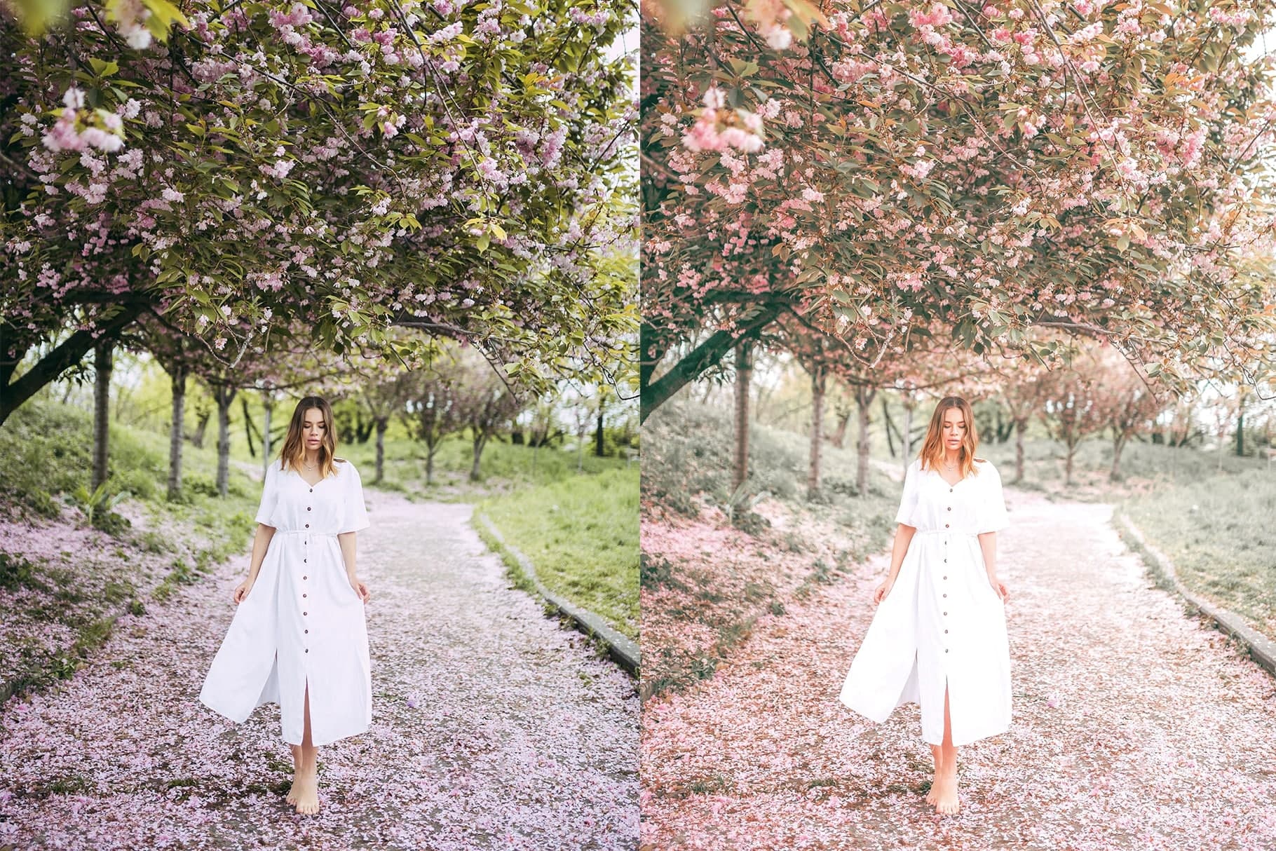 Trendy Spring Lightroom Presets and LUTs