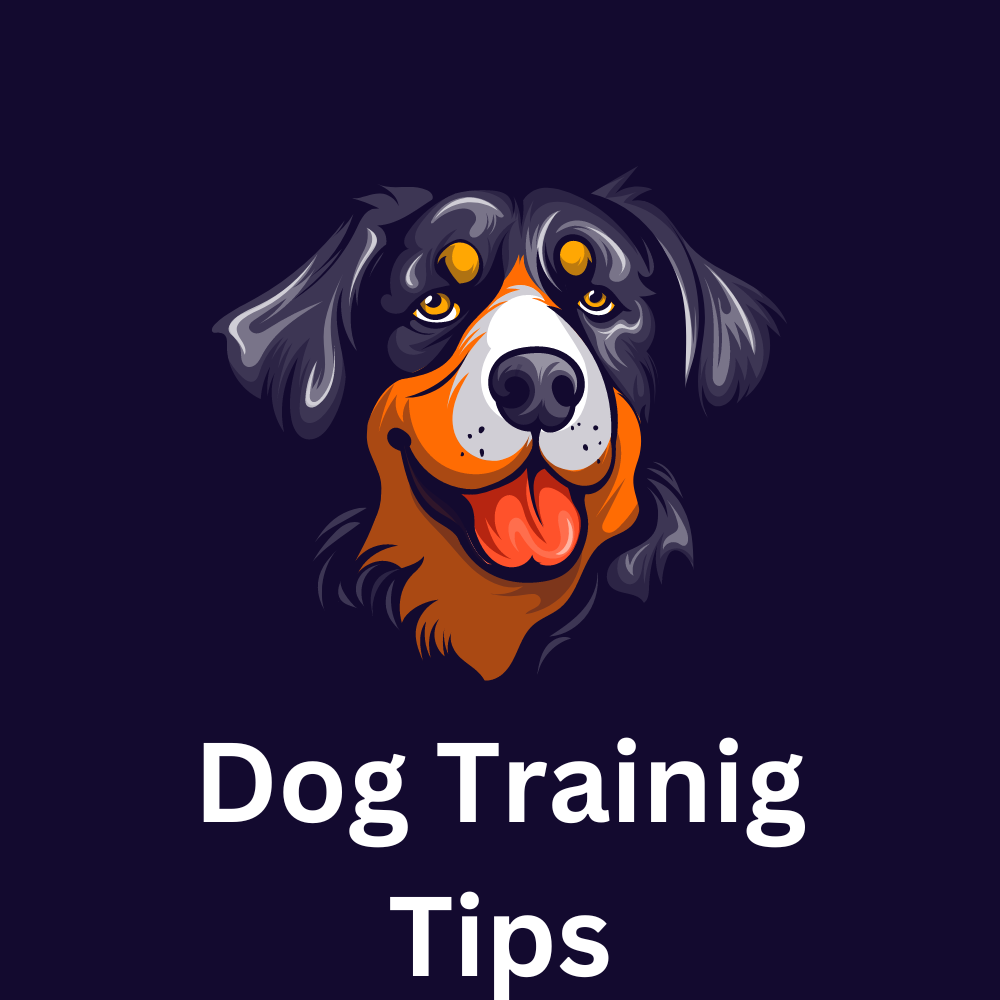 Dog training tips