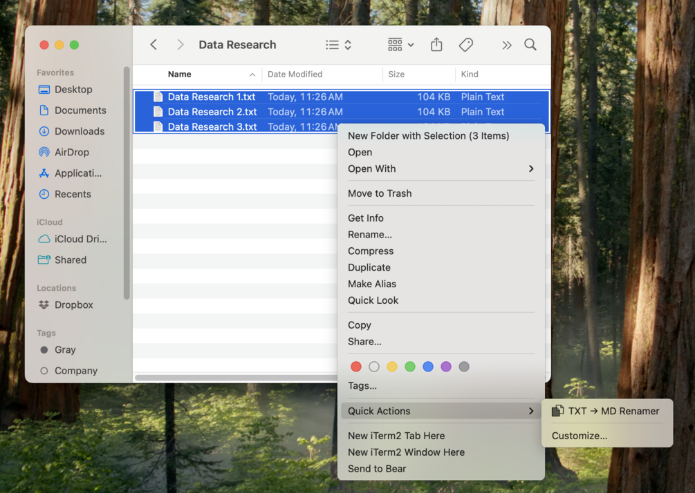 Preview of TXT to MD Renamer Quick Action