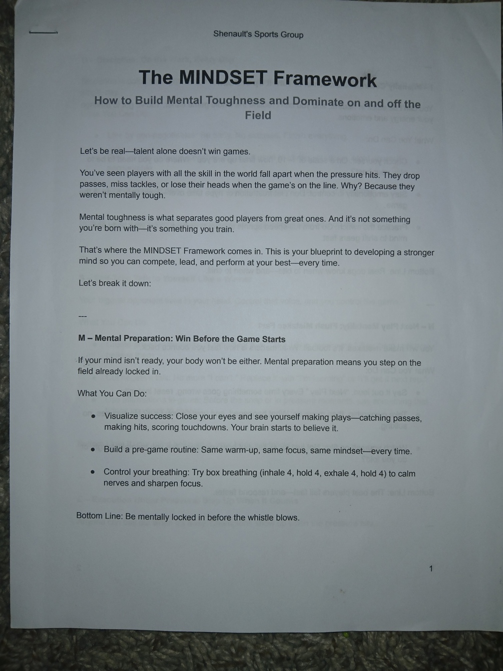 M I N D S E T The Elite Athlete S Framework For Mental Dominance