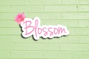Gumroad profile picture for @blossom
