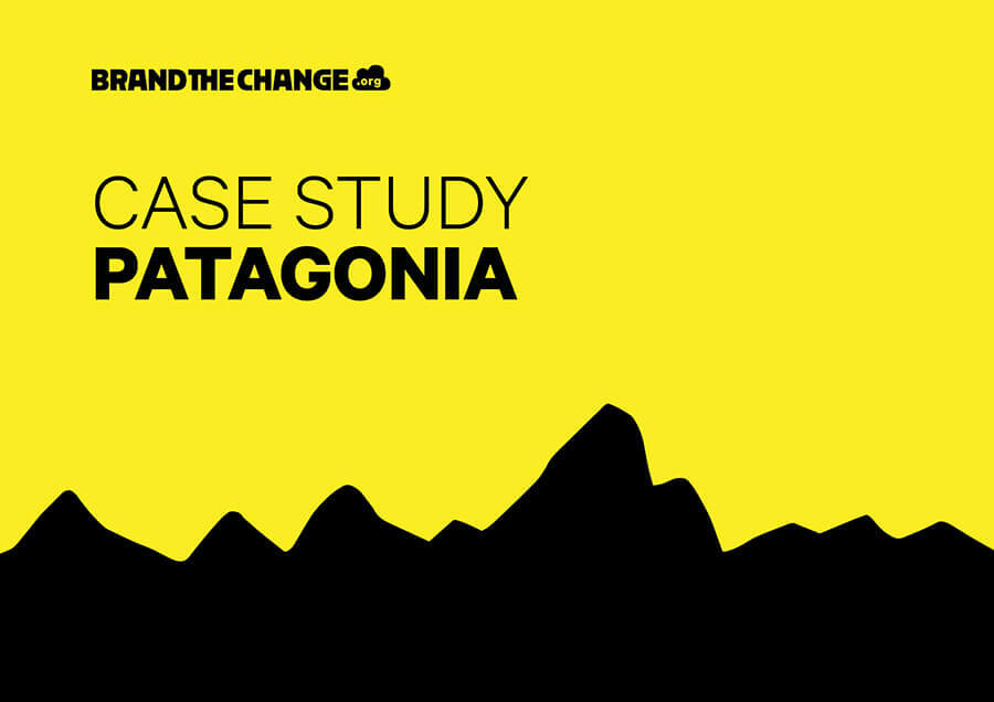 patagonia case study pdf