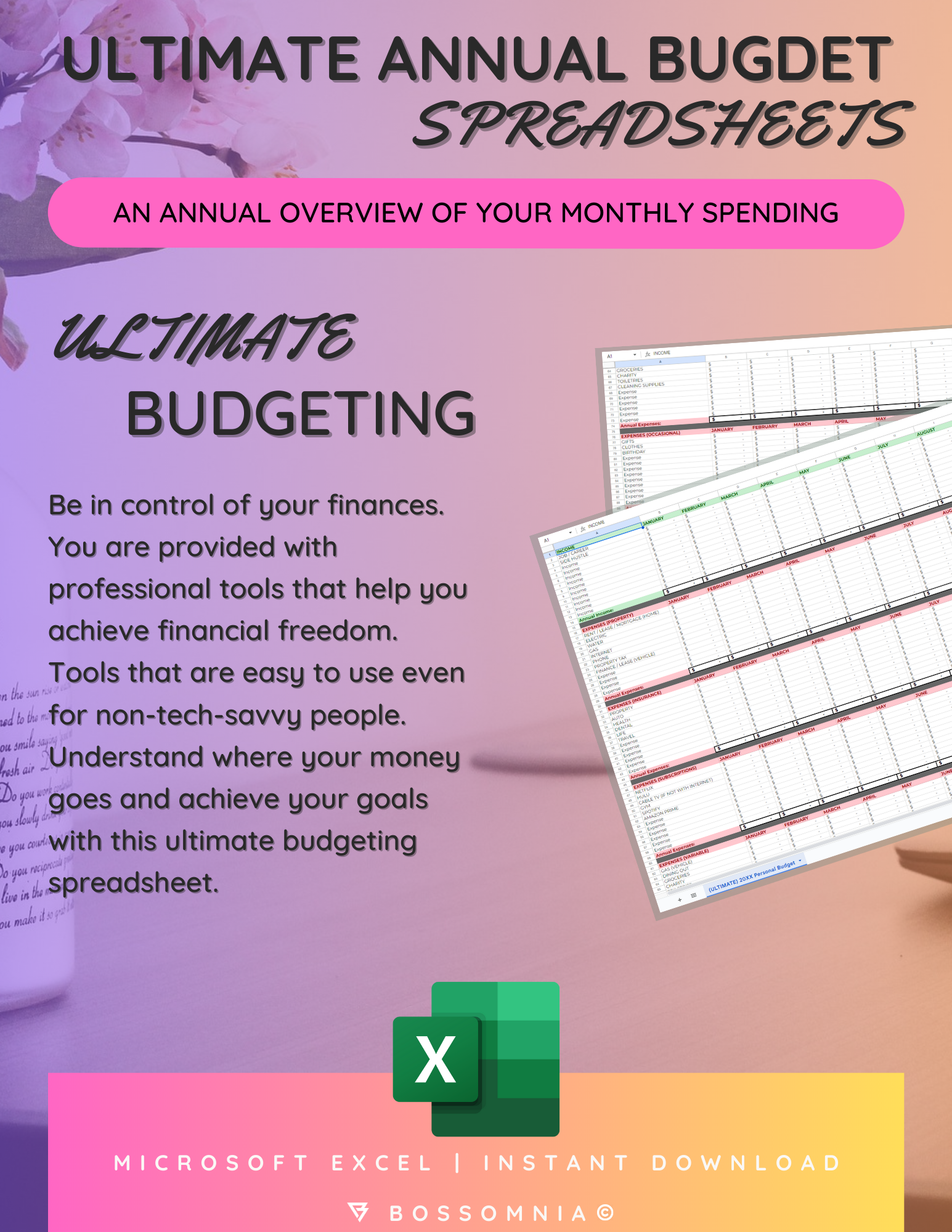 [Microsoft Excel] (ULTIMATE) Financial Budgeting Spreadsheet 