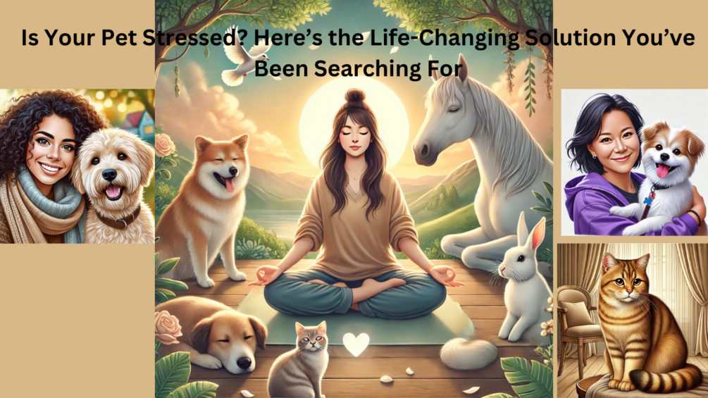 Your Pet’s Anxiety is Not Permanent—Here’s the Fastest Way to Transform ...
