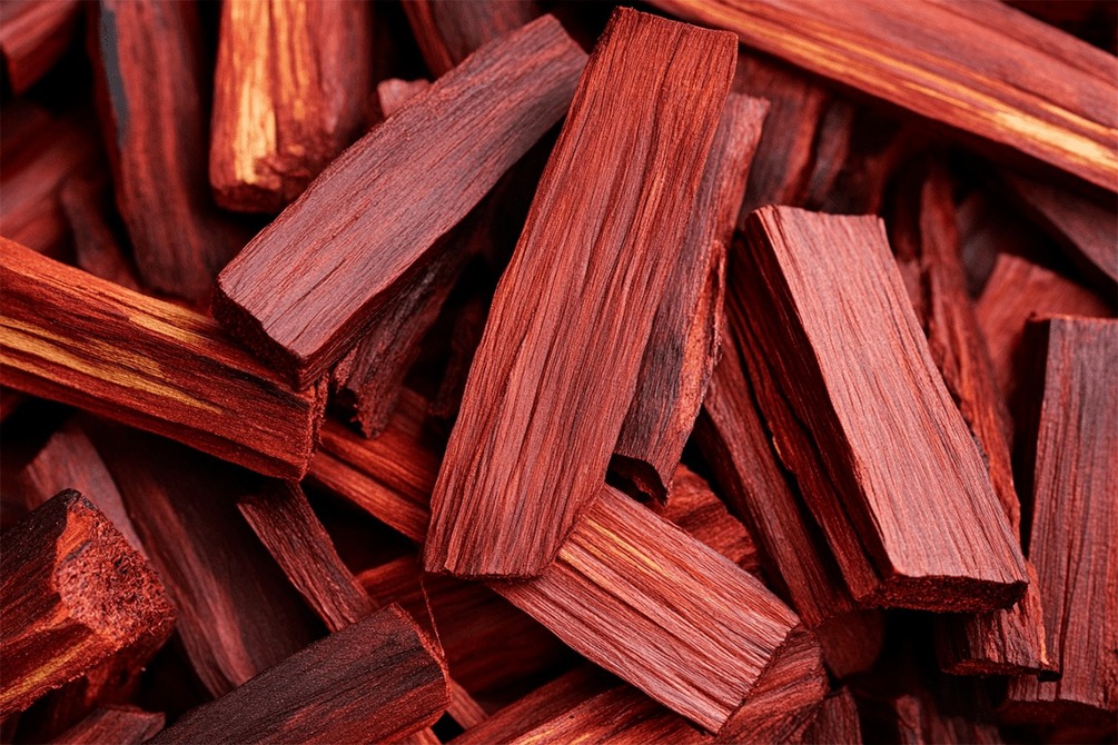 the-mighty-red-sandalwood-from-root-to-leaf