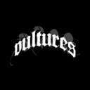 Gumroad profile picture for @vultures