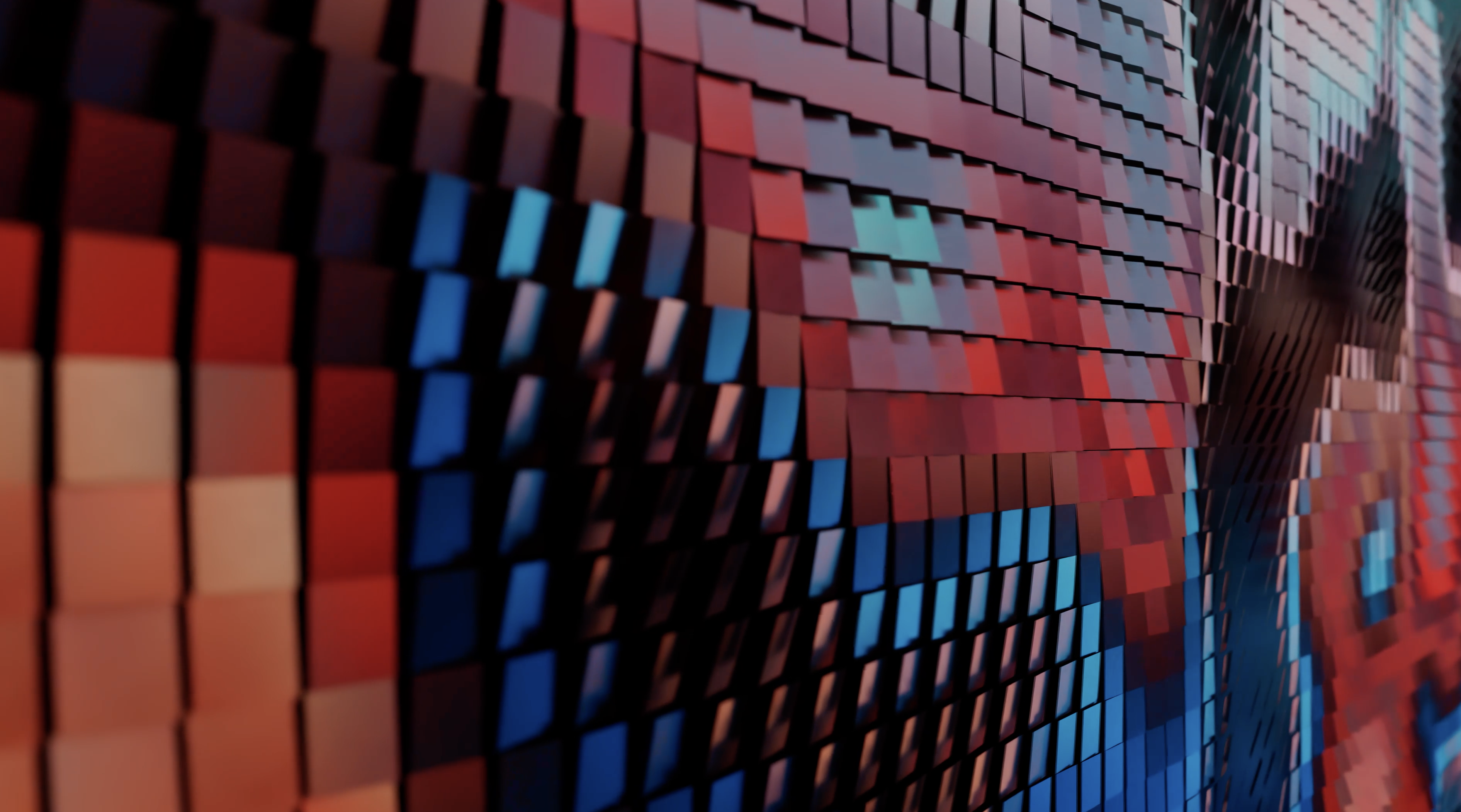 Osteoderm: a frame from the loop.