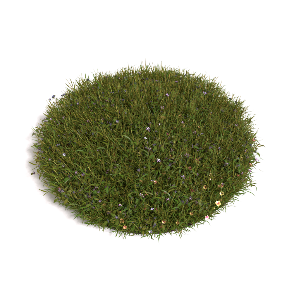 Blender Grass