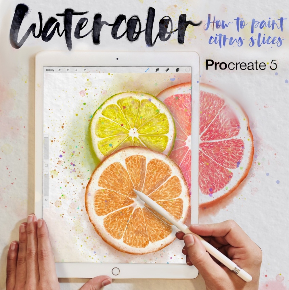 Watercolor Illustrations in Procreate 5: How to Paint Citrus Slices by lettieblue