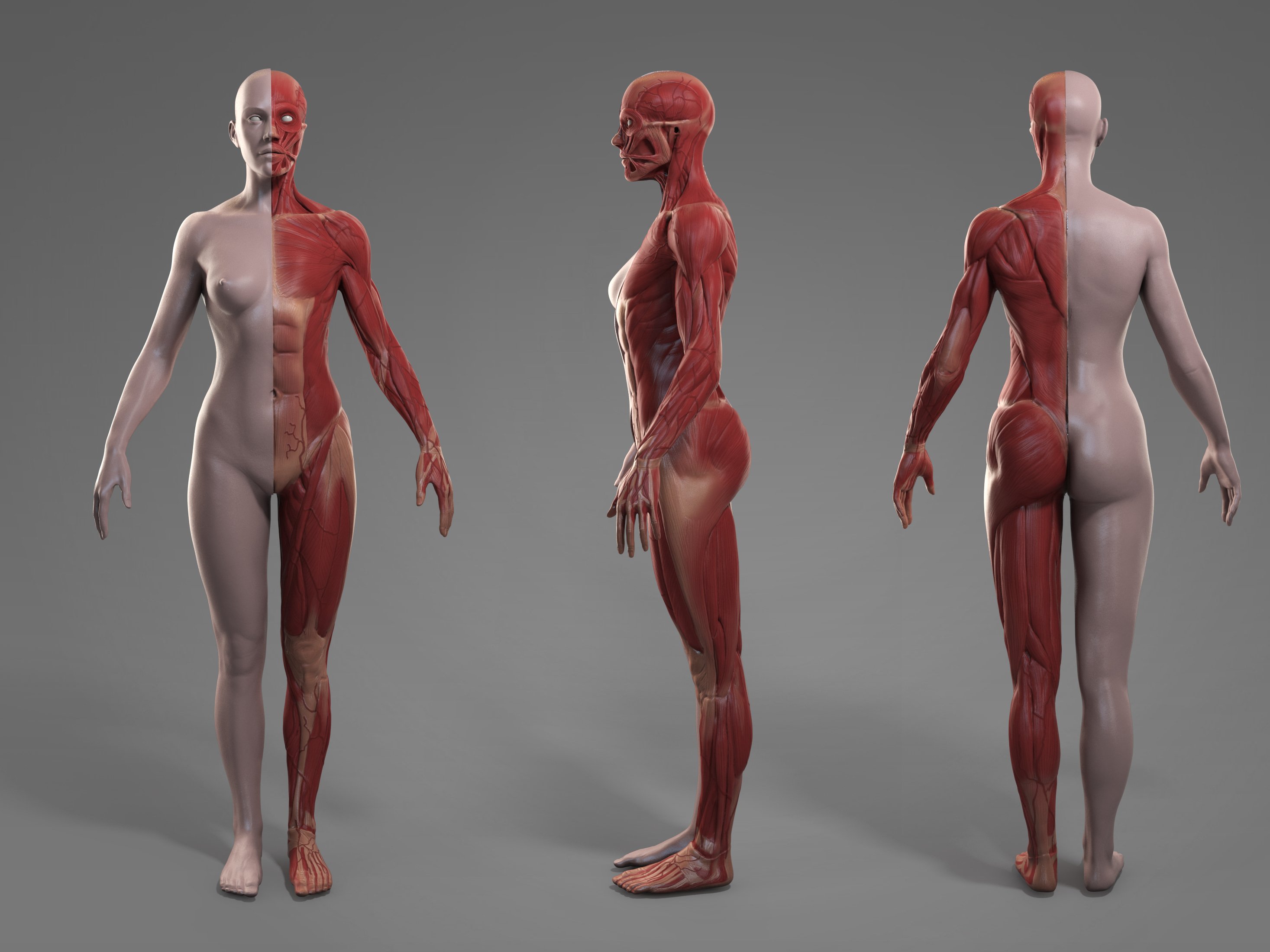 8wplq4ktyktcf71by3dbp8mtgkl8