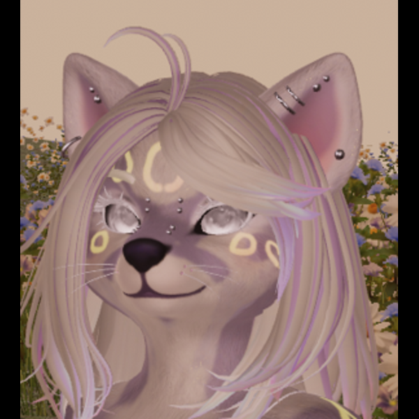 Angelic Wish Meeko Retexture <3