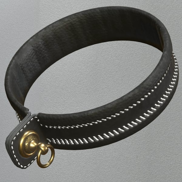 Falconry Collar & Cuffs
