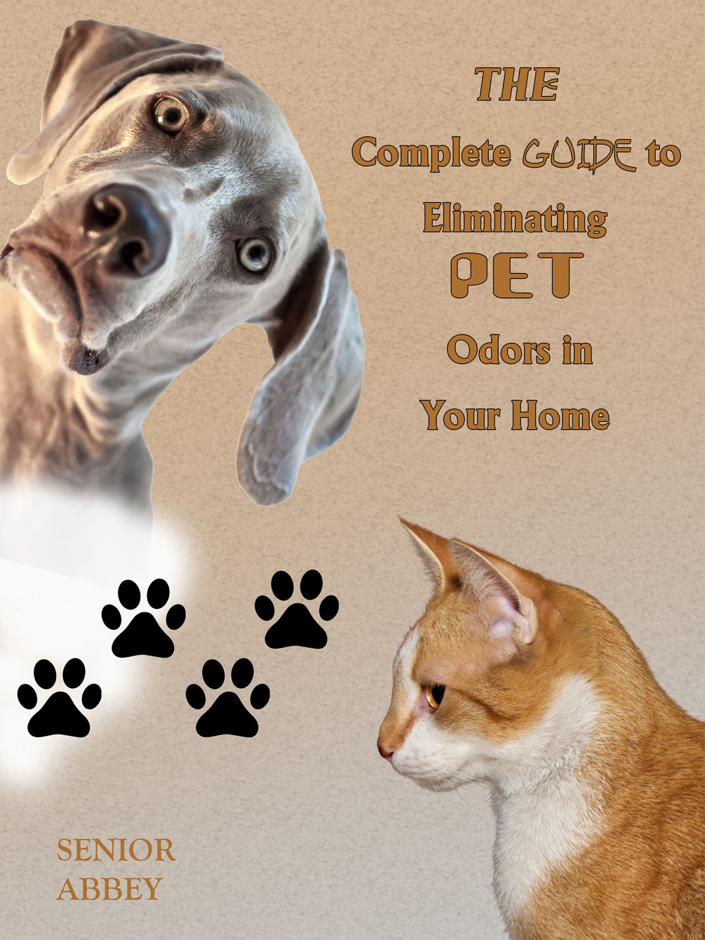 The complete guide to eliminating pet odors in Your home