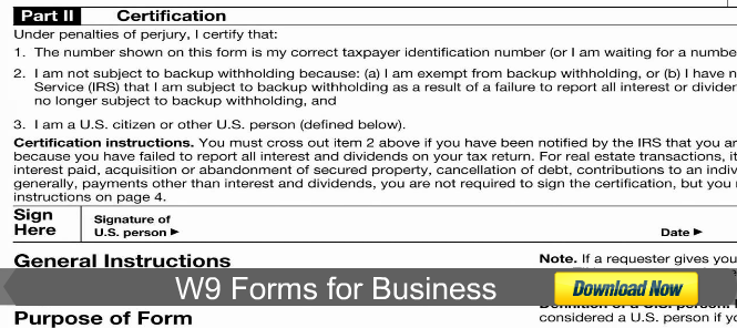 W9 Forms for Business