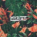 Gumroad profile picture for @myriad