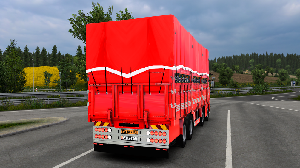 Euro Truck Simulator 2 Cars & Bus 