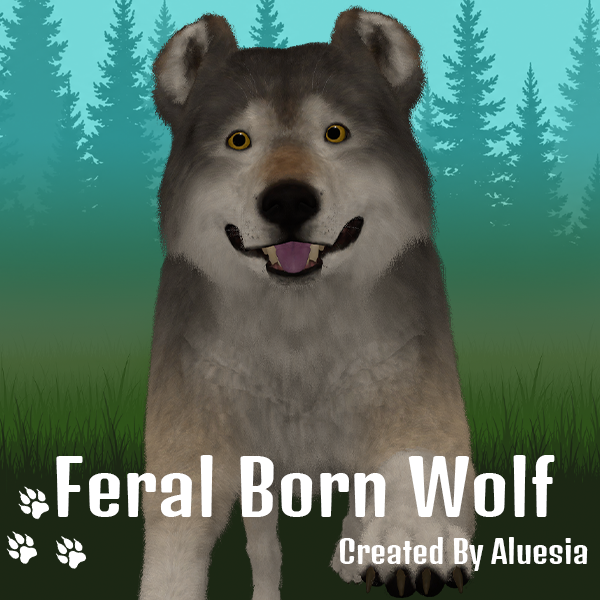 Feral Born Wolf