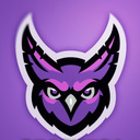 Gumroad profile picture for @owls