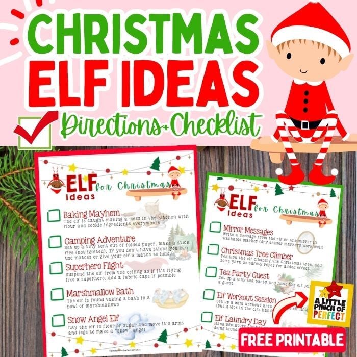 Christmas Elf Ideas with FREE Printable Checklist and Directions