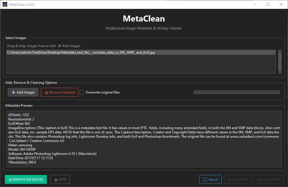 Metadata Preview & Batch Progress Panel