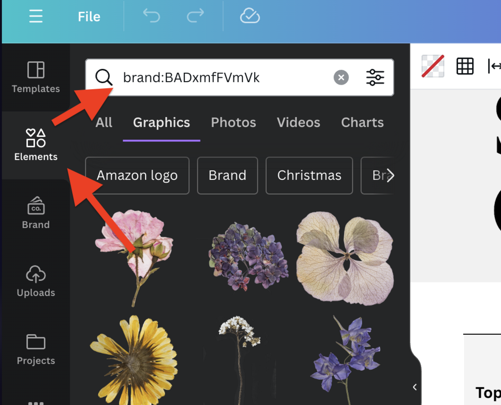 Canva Secret Codes & Element Search Filters