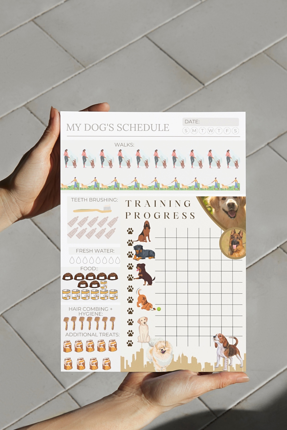 Ultimate Dog Training Schedule and Checklist Unleash Your Dog's Potential