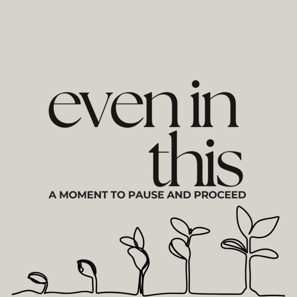 A Place to Pause-7 Day Devotional