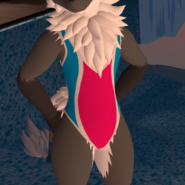 Swimsuit for Nardoragon